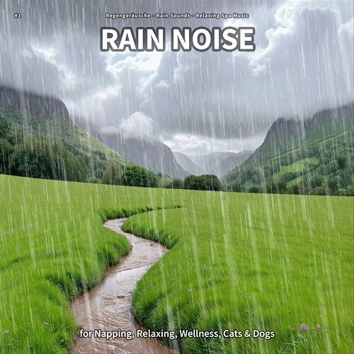 #1 Rain Noise for Napping, Relaxing, Wellness, Cats & Dogs Regengeräusche, Rain Sounds, Relaxing Spa Music