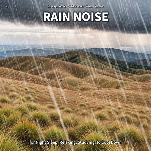#1 Rain Noise for Night Sleep, Relaxing, Studying, to Cool Down Regengeräusche, Rain Sounds, Nature Sounds