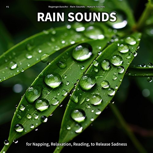 #1 Rain Sounds for Napping, Relaxation, Reading, to Release Sadness Regengeräusche, Rain Sounds, Nature Sounds