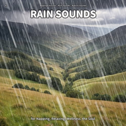 #1 Rain Sounds for Napping, Relaxing, Wellness, the Soul Regengeräusche, Rain Sounds, Nature Sounds
