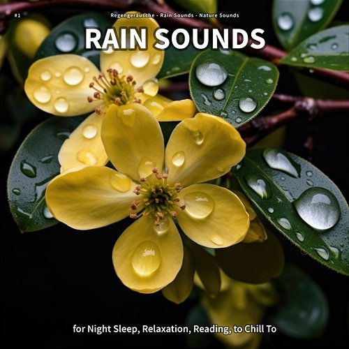 #1 Rain Sounds for Night Sleep, Relaxation, Reading, to Chill To Regengeräusche, Rain Sounds, Nature Sounds