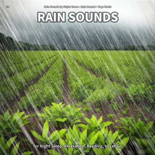 #1 Rain Sounds for Night Sleep, Relaxation, Reading, to Let Go Rain Sounds by Finjus Yanez, Rain Sounds, Yoga Music