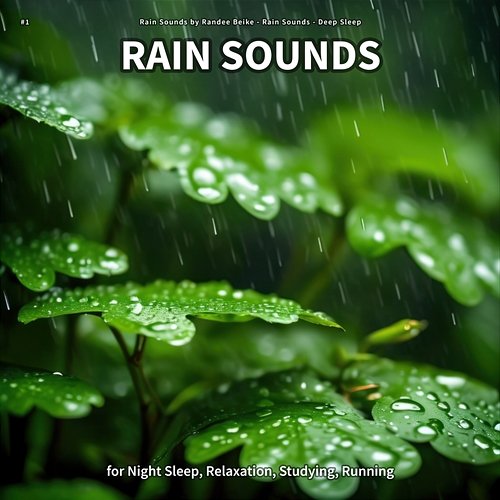 #1 Rain Sounds for Night Sleep, Relaxation, Studying, Running Rain Sounds by Randee Beike, Rain Sounds, Deep Sleep