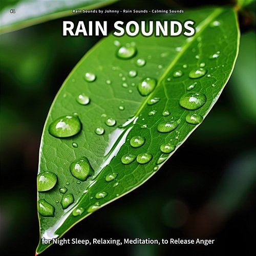 #1 Rain Sounds for Night Sleep, Relaxing, Meditation, to Release Anger Rain Sounds by Johnny, Rain Sounds, Calming Sounds