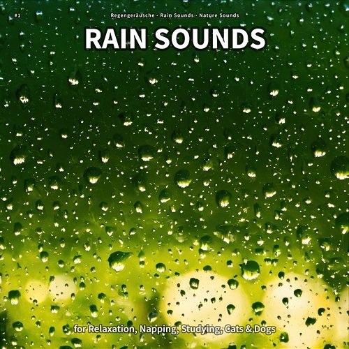 #1 Rain Sounds for Relaxation, Napping, Studying, Cats & Dogs Regengeräusche, Rain Sounds, Nature Sounds