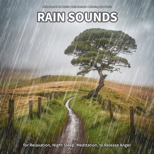 #1 Rain Sounds for Relaxation, Night Sleep, Meditation, to Release Anger Rain Sounds No Music, Rain Sounds, Relaxing Spa Music