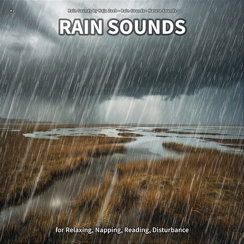 #1 Rain Sounds for Relaxing, Napping, Reading, Disturbance Rain Sounds by Naja Zeeb, Rain Sounds, Nature Sounds