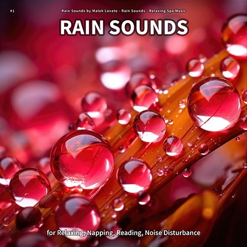 #1 Rain Sounds for Relaxing, Napping, Reading, Noise Disturbance Rain Sounds by Malek Lovato, Rain Sounds, Relaxing Spa Music
