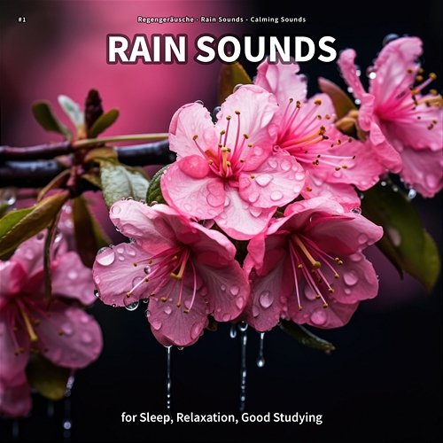 #1 Rain Sounds for Sleep, Relaxation, Good Studying Regengeräusche, Rain Sounds, Calming Sounds