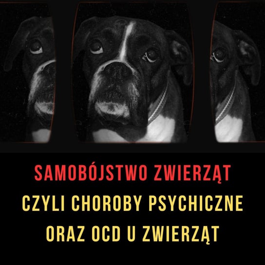 #1 Samobójstwo zwierząt - choroby psychiczne i OCD | Przypadki medyczne u zwierząt - Ciekawe przypadki medyczne - podcast Zieliński Kamil
