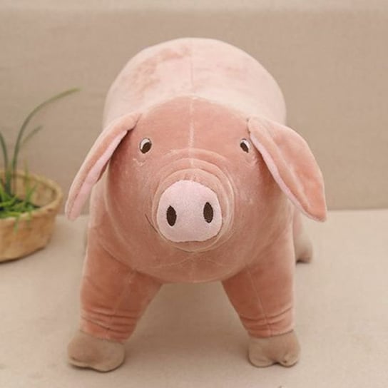 1 szt. 10 pluszowych świnek kreskówkowych towarzyszących śpiącym pluszakom miękkie zabawki 25 cm Inny prou