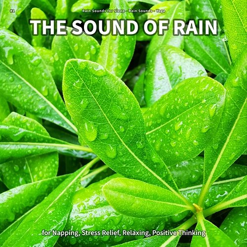 #1 The Sound of Rain for Napping, Stress Relief, Relaxing, Positive Thinking Rain Sounds For Sleep, Rain Sounds, Yoga