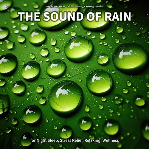 #1 The Sound of Rain for Night Sleep, Stress Relief, Relaxing, Wellness Regengeräusche, Rain Sounds, Calming Sounds