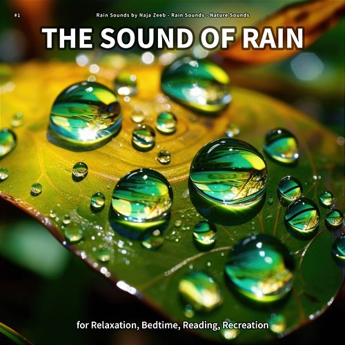 #1 The Sound of Rain for Relaxation, Bedtime, Reading, Recreation Rain Sounds by Naja Zeeb, Rain Sounds, Nature Sounds
