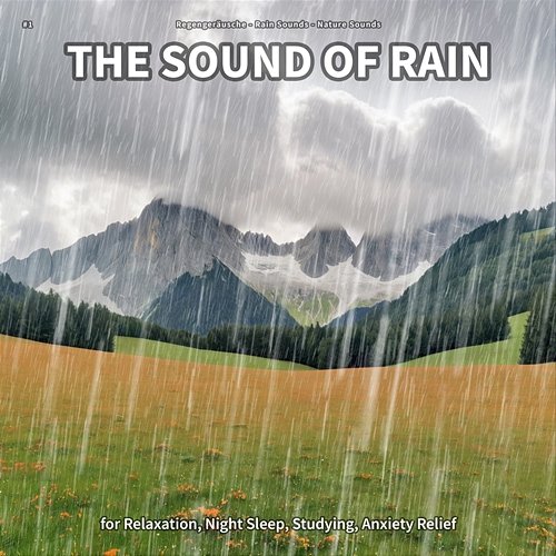 #1 The Sound of Rain for Relaxation, Night Sleep, Studying, Anxiety Relief Regengeräusche, Rain Sounds, Nature Sounds
