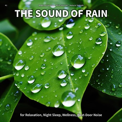 #1 The Sound of Rain for Relaxation, Night Sleep, Wellness, Next-Door Noise Regengeräusche, Rain Sounds, Nature Sounds