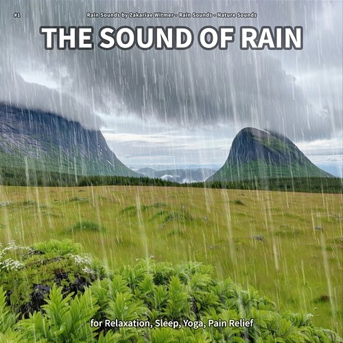 #1 The Sound of Rain for Relaxation, Sleep, Yoga, Pain Relief Rain Sounds by Zakariae Witmer, Rain Sounds, Nature Sounds