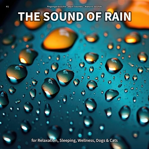 #1 The Sound of Rain for Relaxation, Sleeping, Wellness, Dogs & Cats Regengeräusche, Rain Sounds, Nature Sounds