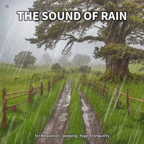 #1 The Sound of Rain for Relaxation, Sleeping, Yoga, Tranquility Rain Sounds to Fall Asleep To, Rain Sounds, Nature Sounds