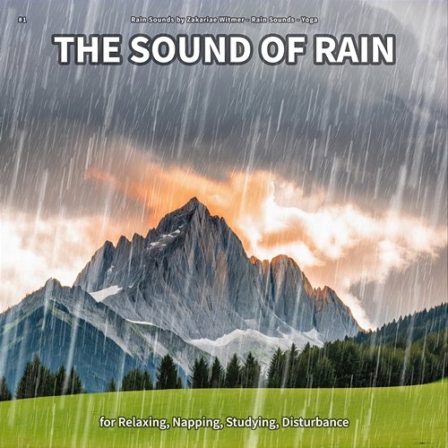 #1 The Sound of Rain for Relaxing, Napping, Studying, Disturbance Rain Sounds by Zakariae Witmer, Rain Sounds, Yoga