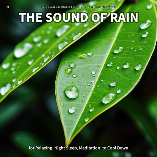 #1 The Sound of Rain for Relaxing, Night Sleep, Meditation, to Cool Down Rain Sounds by Randee Beike, Rain Sounds, Nature Sounds