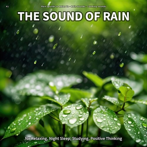 #1 The Sound of Rain for Relaxing, Night Sleep, Studying, Positive Thinking Rain Sounds to Relax To, Rain Sounds, Calming Sounds