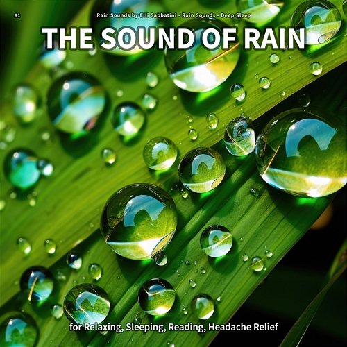 #1 The Sound of Rain for Relaxing, Sleeping, Reading, Headache Relief Rain Sounds by Elli Sabbatini, Rain Sounds, Deep Sleep