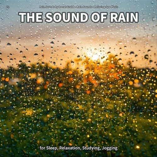 #1 The Sound of Rain for Sleep, Relaxation, Studying, Jogging Rain Sounds by Donat Grubb, Rain Sounds, Relaxing Spa Music