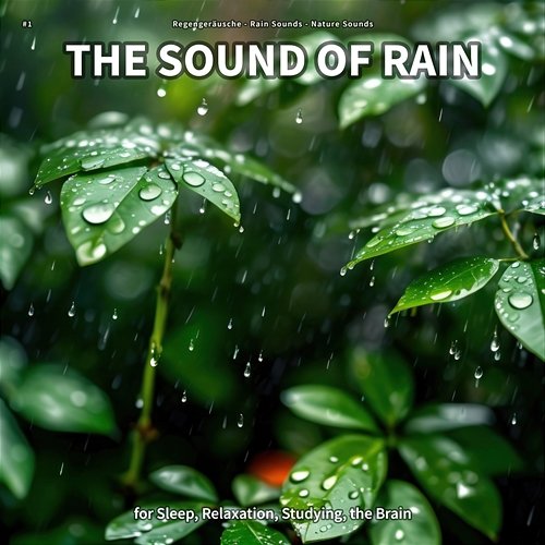 #1 The Sound of Rain for Sleep, Relaxation, Studying, the Brain Regengeräusche, Rain Sounds, Nature Sounds
