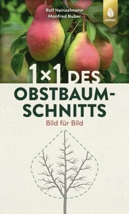 1 x 1 des Obstbaumschnitts Verlag Eugen Ulmer