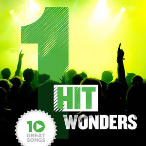 10 Great One Hit Wonders Various Artists