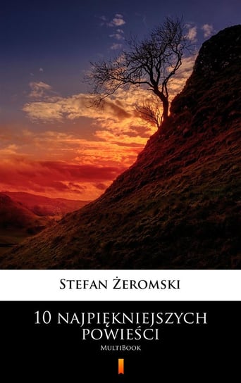 10 najpiękniejszych powieści Żeromski Stefan
