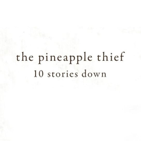 10 Stories Down The Pineapple Thief