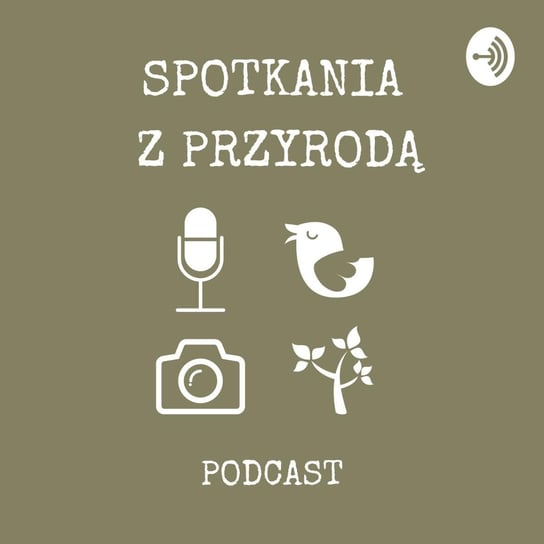 #10 Tomasz Przybyliński i obserwowanie ptaków - cz.2 - Spotkania z przyrodą - podcast Stanecki Michał
