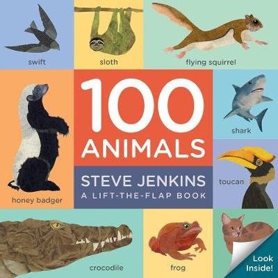 100 Animals Board Book: Lift-the-Flap Jenkins Steve