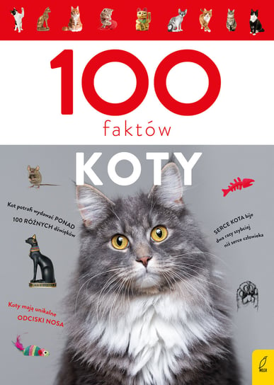 100 faktów. Koty Biegańska-Hendryk Małgorzata