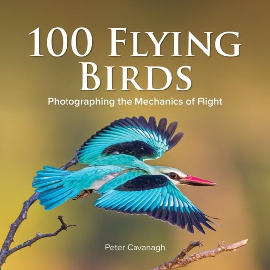 100 flying birds Peter Cavanagh