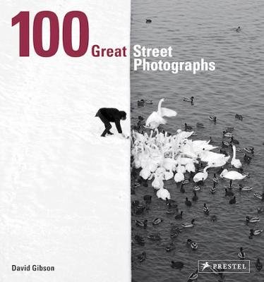 100 Great Street Photographs: Paperback Edition Gibson David