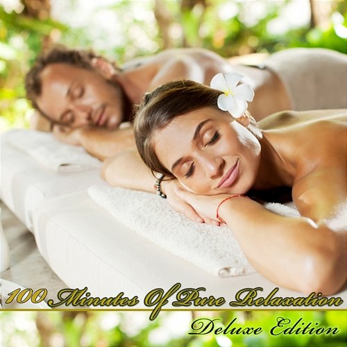 100 Minutes of Pure Relaxation - Deluxe Edition Giovanni Tornambene, Linnea Yolanda