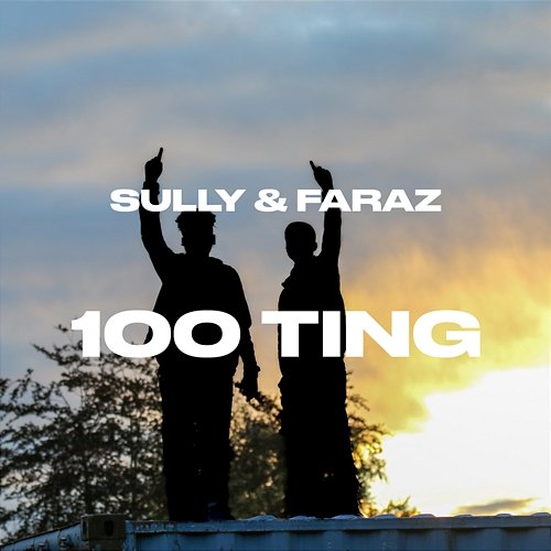 100 ting Sully & Faraz