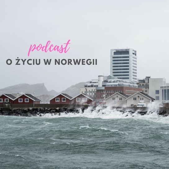 #11 MINUSY życia w Norwegii - Życie w Norwegii -podcast Dvorakova Gosia