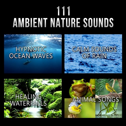 111 Ambient Nature Sounds: Best Relaxing Music, Hypnotic Ocean Waves, Calm Sounds of Rain, White Noise, Healing Waterfalls and Animal Songs to Reduce Stress Various Artists