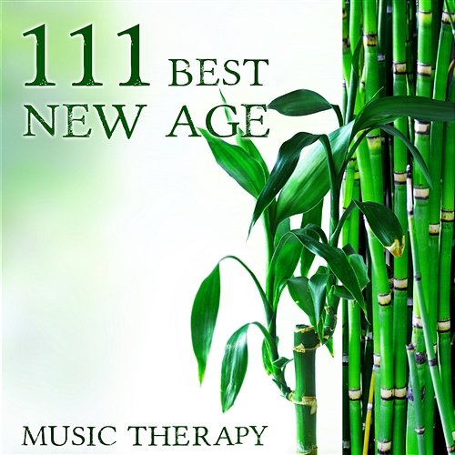 111 Best New Age Music Therapy: Relaxing Songs for Meditation, Massage, Yoga, Study, Baby, Serenity, Spa, Reiki, Pregnancy, Sleep, Tantra, Chakra, Zen, Tranquility, Mantra Meditation Music Zone