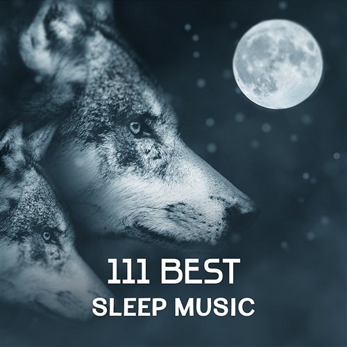 111 Best Sleep Music – Nature Sounds to Fall Asleep, Healing Lullaby, Find Inner Peace, Relax the Mind, Chinese Music Treatment for Better Sleep Deep Sleep Sanctuary
