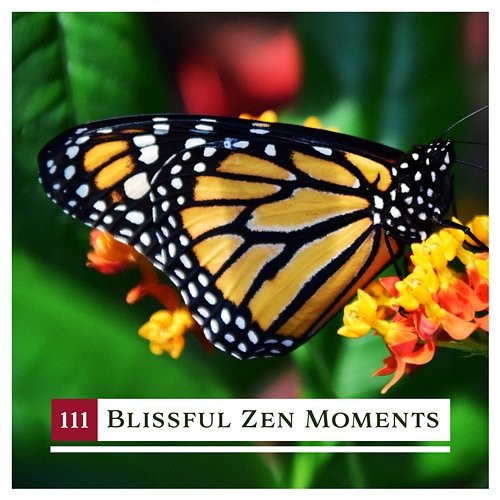 111 Blissful Zen Moments: Essential New Age Music for Relaxation, Calming Destination, Liquid Wellness Therapy, Harmony Dimension, Free Mind Sound Therapy Masters