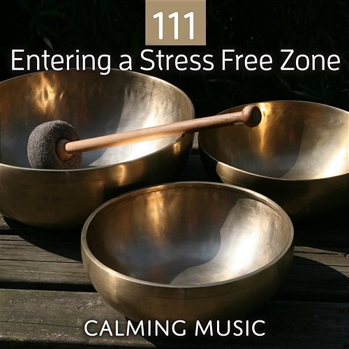 111 Entering a Stress Free Zone: Calming Music Session for Meditation, Relaxation, Reiki, Massage, Spa, Chakra Healing Stress Relief Calm Oasis
