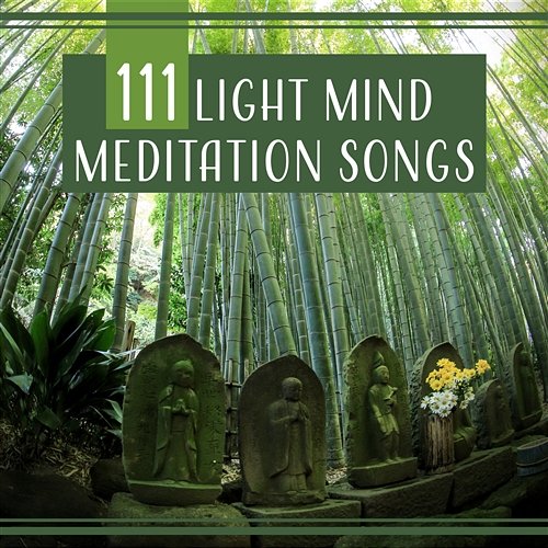 111 Light Mind Meditation Songs: Loving Kindness, Sacred Energy, Liquid Balance, Calm Oasis, Soul Cleansing, Self Hypnosis Various Artists