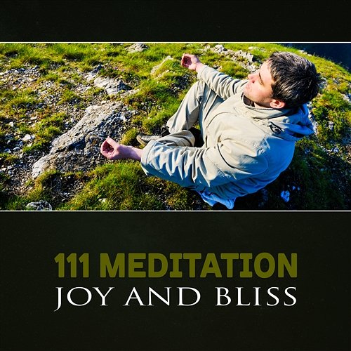 111 Meditation: Joy and Bliss – Light of Healing, Blessing Buddha, Stress and Fear Release, Pure Zen, Spiritual Songs of Awakening Spiritual Healing Music Universe