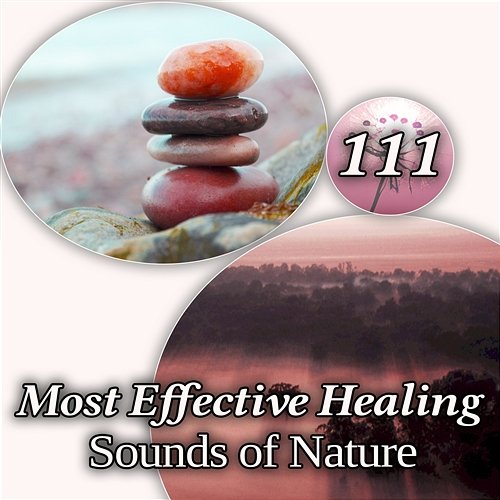 111 Most Effective Healing Sounds of Nature: Songs to Help You Relax, Sleeping Well and Dreaming, Insomnia Cure, Tranquility and Best Relaxing Music for Asian Meditation, Zen Yoga and Spa Various Artists