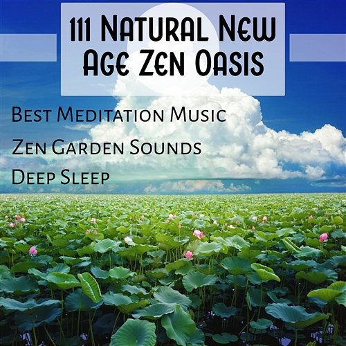 111 Natural New Age Zen Oasis: Best Meditation Music, Zen Garden Sounds, Deep Sleep, Healing Massage, Spa and Yoga Music, Pure Relaxation, Balance and Stress Relief, Feel Incredible Various Artists